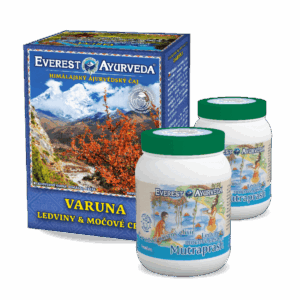 Detoxikace ledvin a močových cest