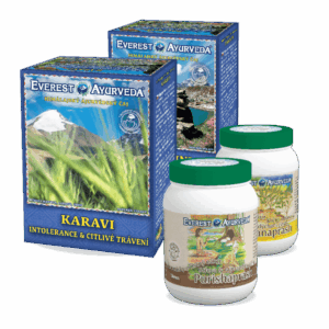 Detoxikace od alergenů