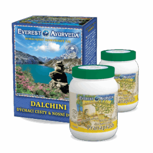 Nosní a čelní dutiny