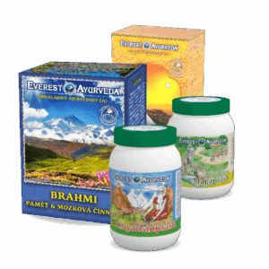 Paměť a koncentrace